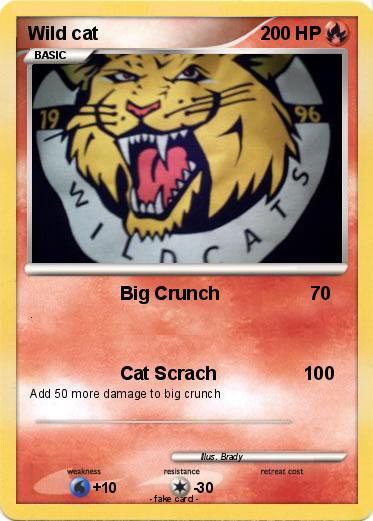 Pokemon Wild cat