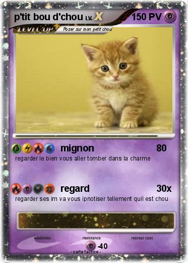 Pokemon p'tit bou d'chou