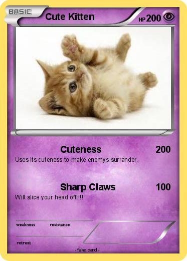 Pokemon Cute Kitten