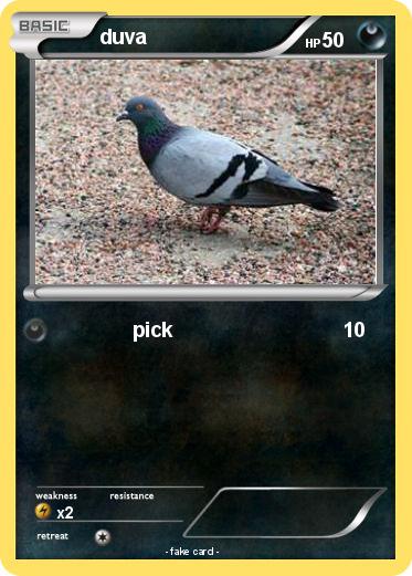 Pokemon duva