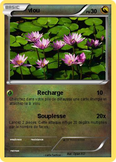 Pokemon vlou