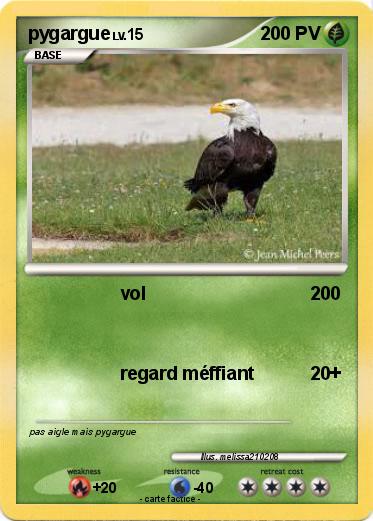 Pokemon pygargue