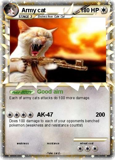 Pokemon Army cat