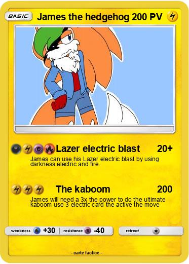 Pokemon James the hedgehog