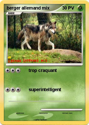 Pokemon berger allemand mix