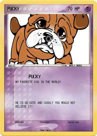 Pokemon PUCKY