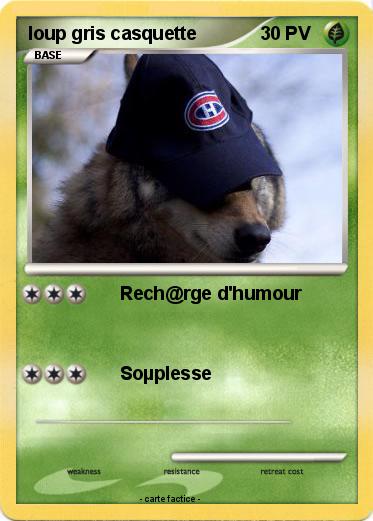 Pokemon loup gris casquette