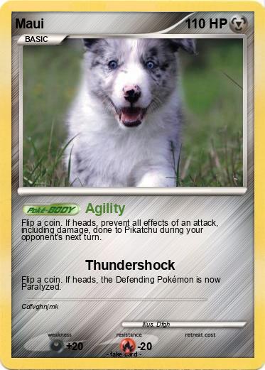 Pokemon Maui