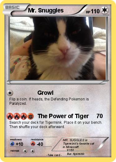 Pokemon Mr. Snuggles