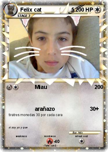 Pokemon Felix cat                    5