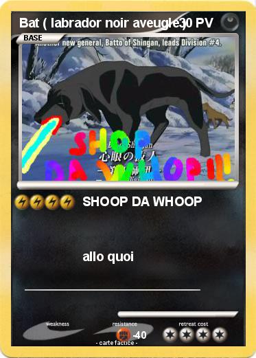 Pokemon Bat ( labrador noir aveugle )