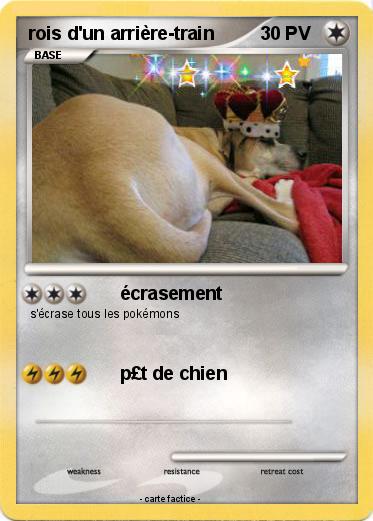 Pokemon rois d'un arrière-train