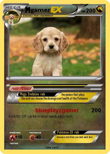 Pokemon gamer