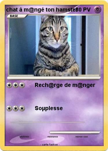 Pokemon chat à m@ngé ton hamster