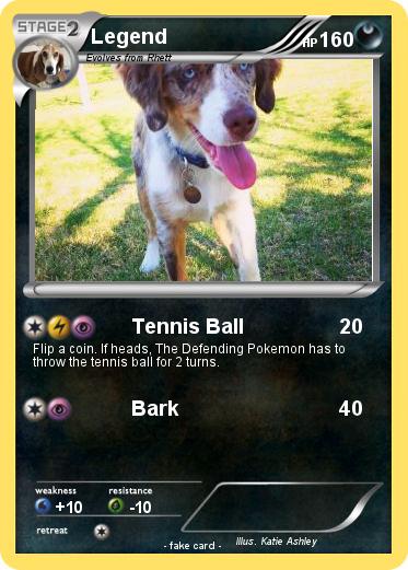 Pokemon Legend