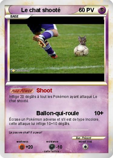 Pokemon Le chat shooté