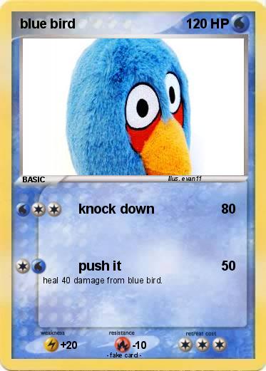 Pokemon blue bird