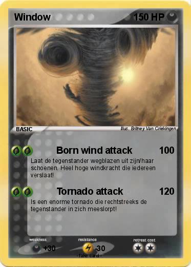 Pokemon Window