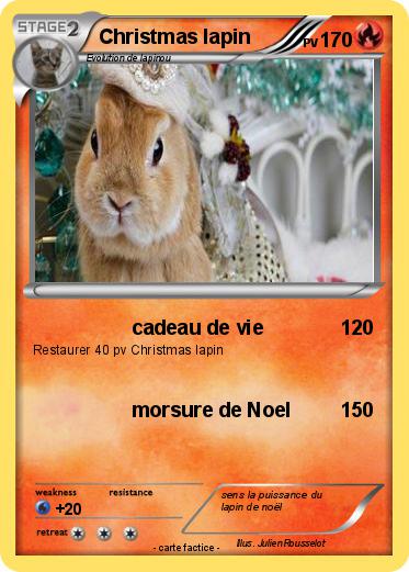 Pokemon Christmas lapin