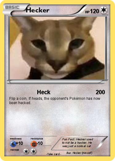 Pokemon Hecker