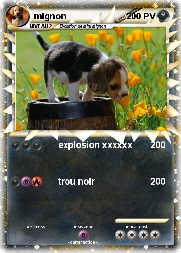 Pokemon mignon