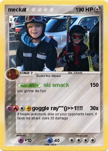 Pokemon meckat