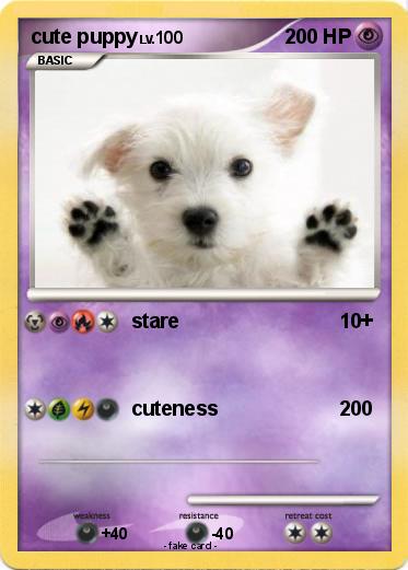 Pokemon cute puppy