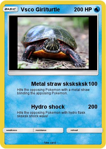 Pokemon Vsco Girl/turtle