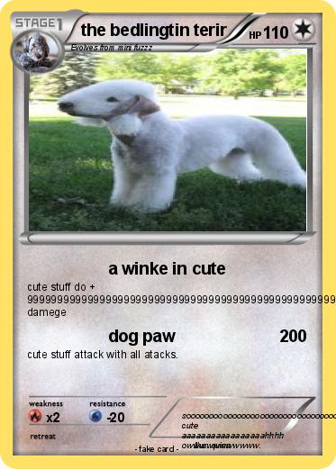 Pokemon the bedlingtin terir