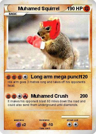 Pokemon Muhamed Squirrel