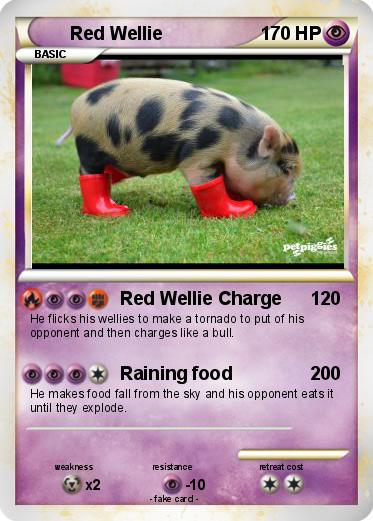 Pokemon Red Wellie