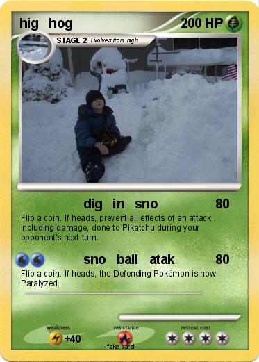 Pokemon hig   hog