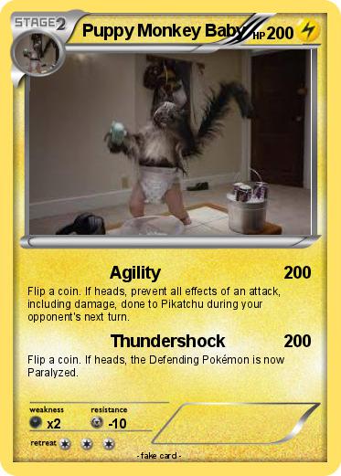 Pokemon Puppy Monkey Baby