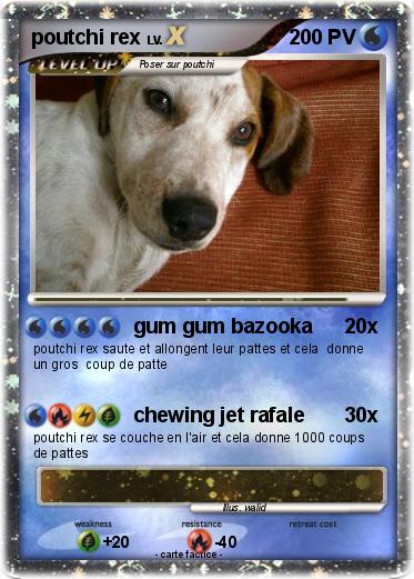 Pokemon poutchi rex