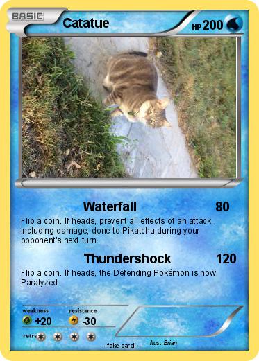Pokemon Catatue