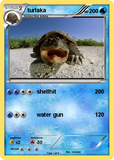 Pokemon turlaka