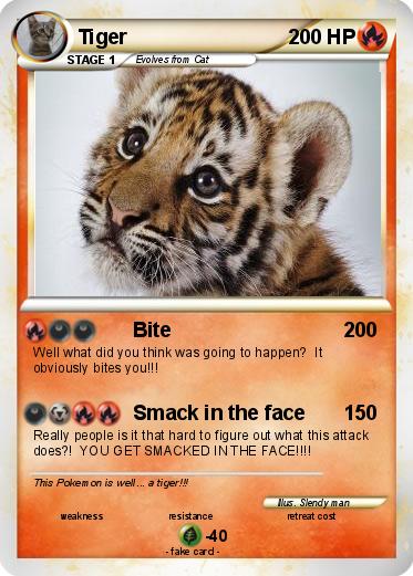 Pokemon Tiger