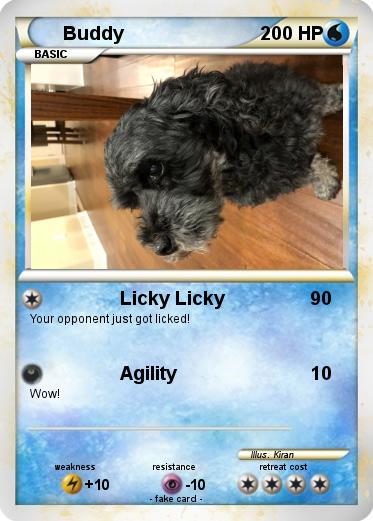 Pokemon Buddy
