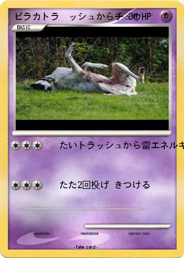 Pokemon ピラカトラ  ッシュからチュウ