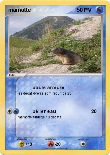 Pokemon mamotte