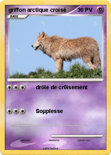 Pokemon griffon arctique croisé