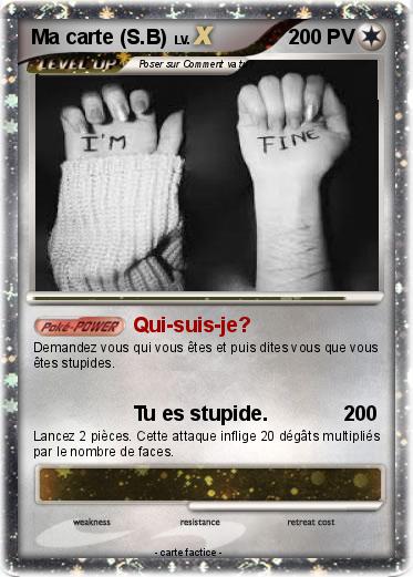 Pokemon Ma carte (S.B)
