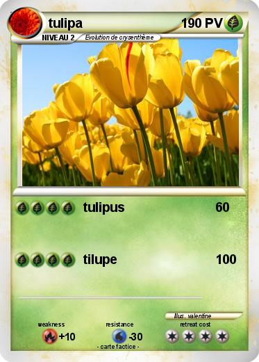 Pokemon tulipa