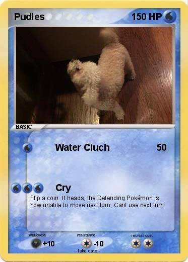 Pokemon Pudles
