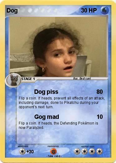 Pokemon Dog