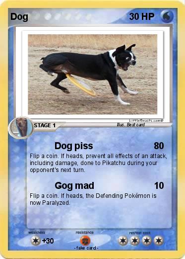 Pokemon Dog