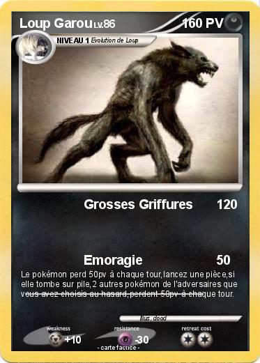 Pokemon Loup Garou