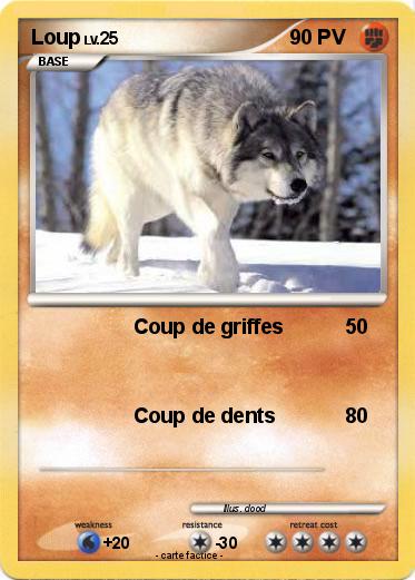 Pokemon Loup