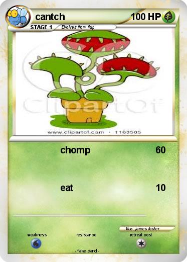 Pokemon cantch