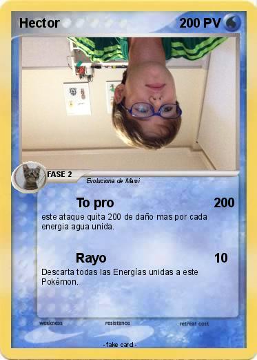 Pokemon Hector